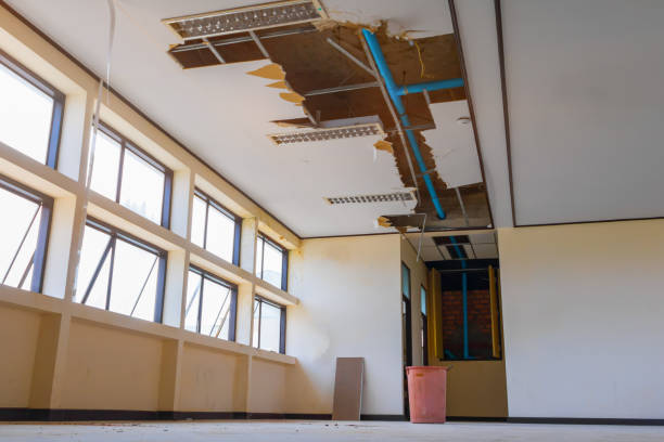 Best Carpet water damage restoration  in Las Campanas, NM