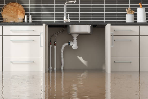 Carpet water damage restoration in Las Campanas, NM