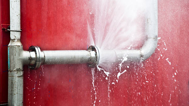 Best Flooded house restoration  in Las Campanas, NM